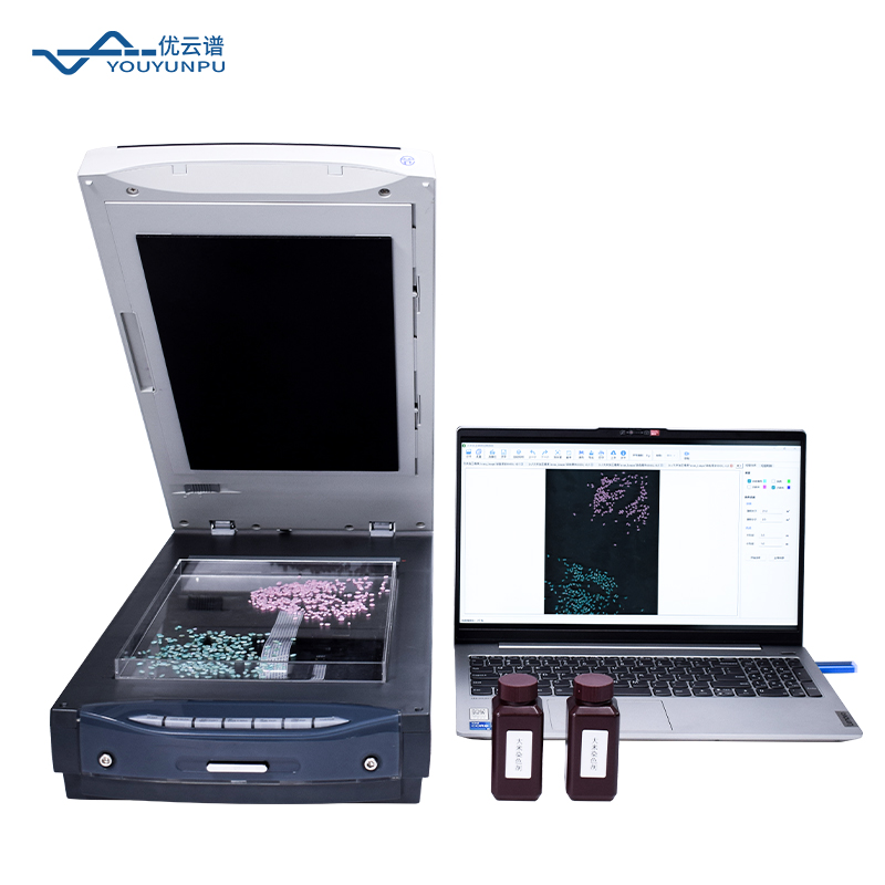 大米加工精度檢測儀：原理、方法與應(yīng)用價值